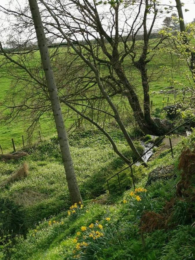Relax In A 1 Bedroom Apartment Near A Country Pub Eyemouth Exteriör bild