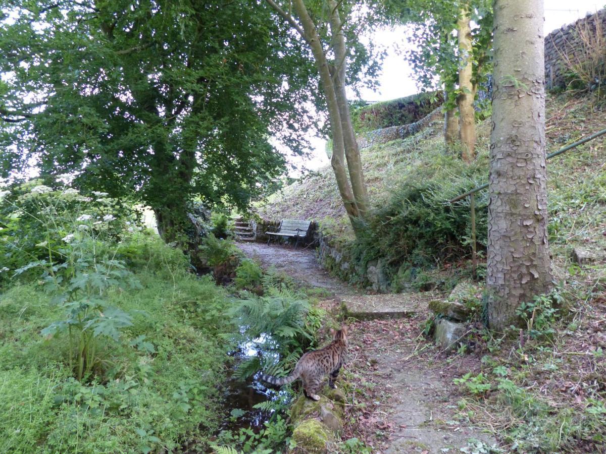 Relax In A 1 Bedroom Apartment Near A Country Pub Eyemouth Exteriör bild