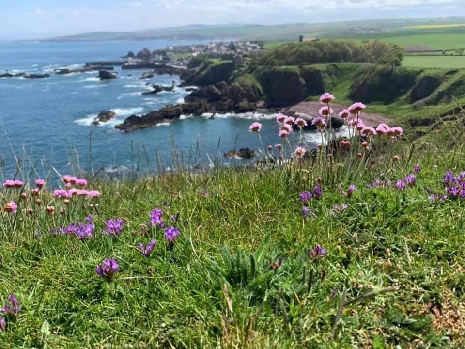 Relax In A 1 Bedroom Apartment Near A Country Pub Eyemouth Exteriör bild